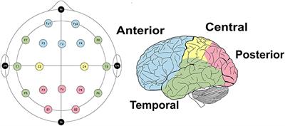 Quantitative EEG analysis in typical absence seizures: unveiling spectral dynamics and entropy patterns